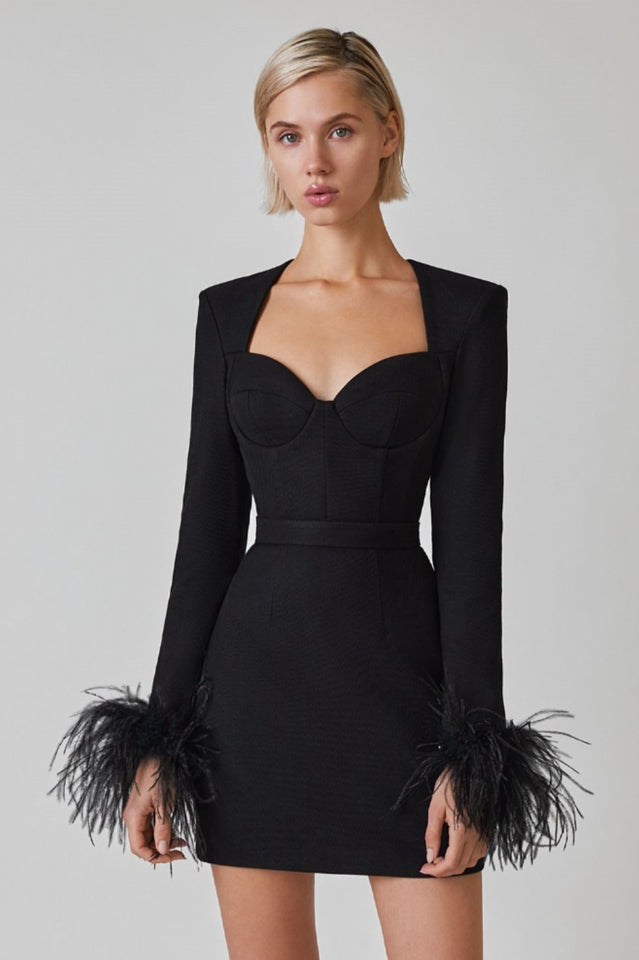 Feather Long Sleeve Bustier Dress - Riyosa®