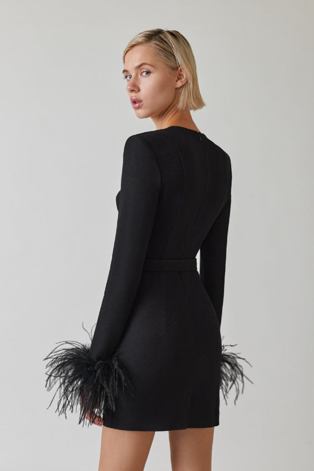 Feather Long Sleeve Bustier Dress - Riyosa®