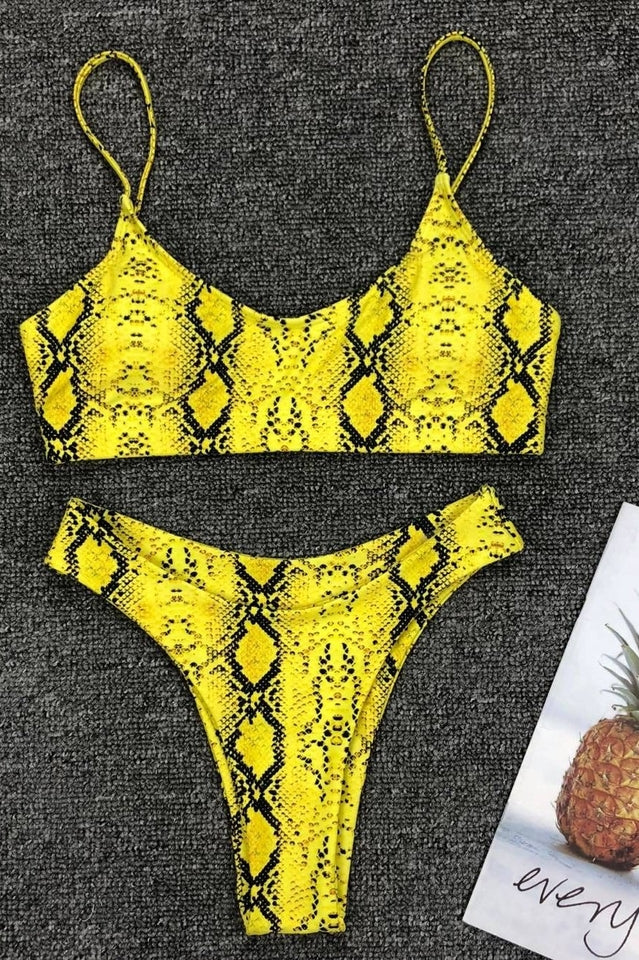 Leopard Print Bikini Set (Multicolor) - Riyosa®