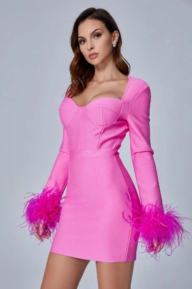 Feather Long Sleeve Bustier Dress - Riyosa®