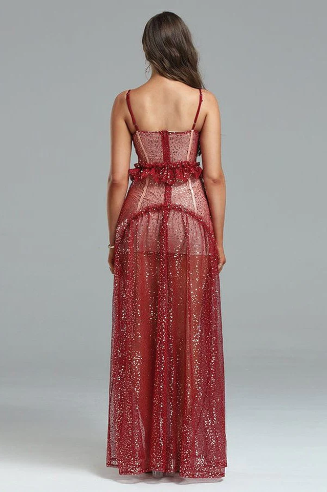 Barrett Sequined Mesh & Lace Maxi Dress - Riyosa®